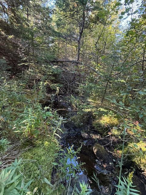 Lot 25 H Boot Cove Road Lubec ME 04652