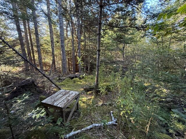 Lot 25 H Boot Cove Road Lubec ME 04652