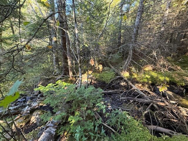 Lot 25 H Boot Cove Road Lubec ME 04652