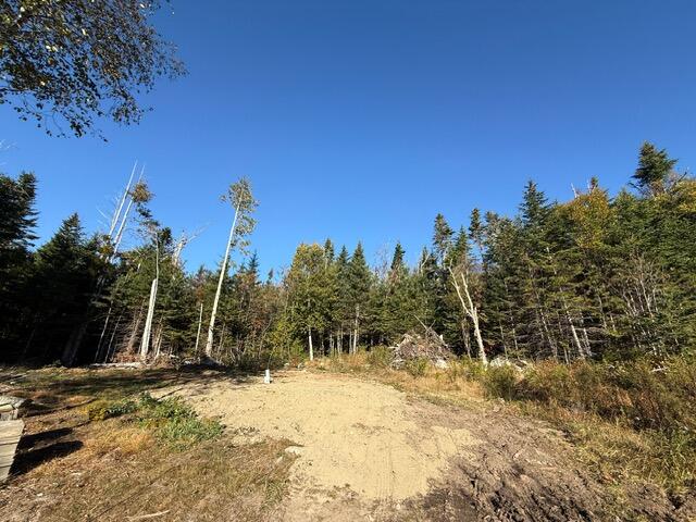 Lot 25 H Boot Cove Road Lubec ME 04652