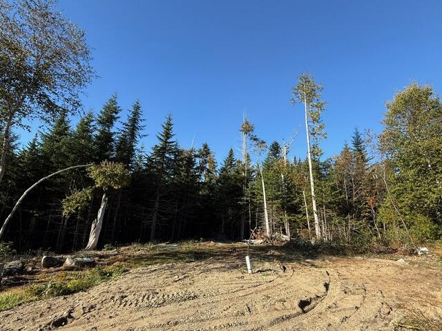 Lot 25 H Boot Cove Road Lubec ME 04652