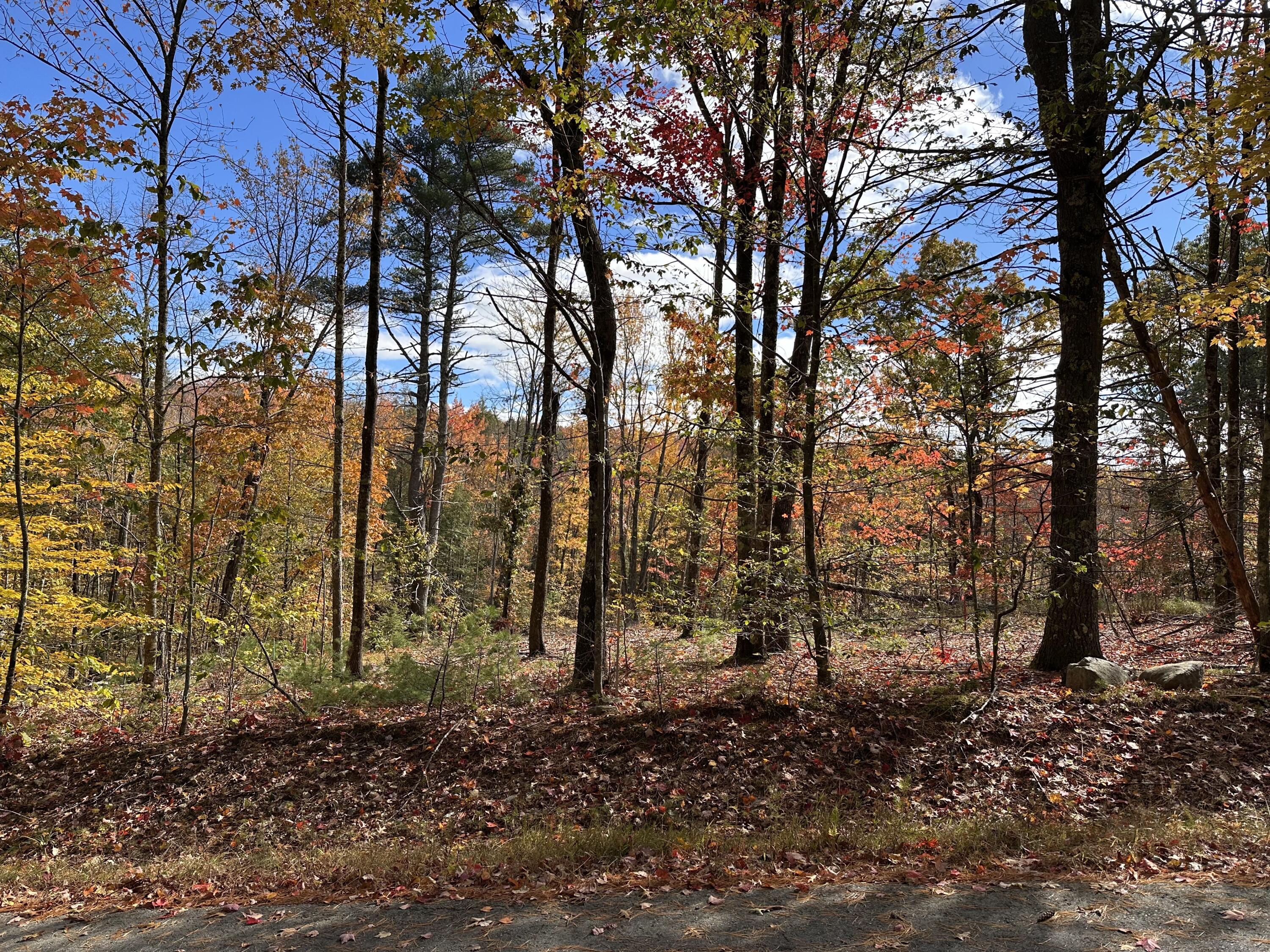 0 School House Lane Lebanon ME 04027