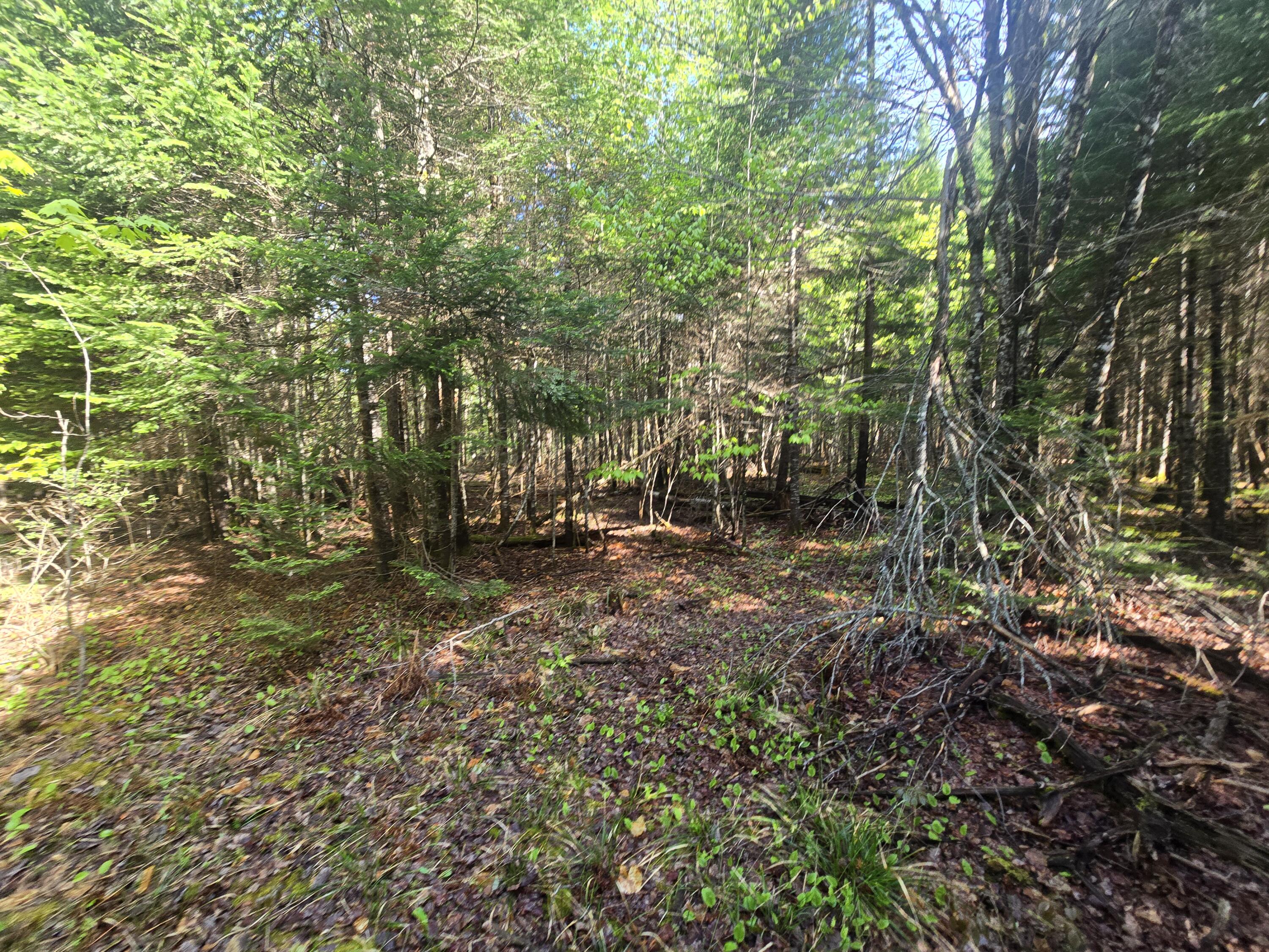 # Private Rd Off Merriman Road Island Falls ME 04747