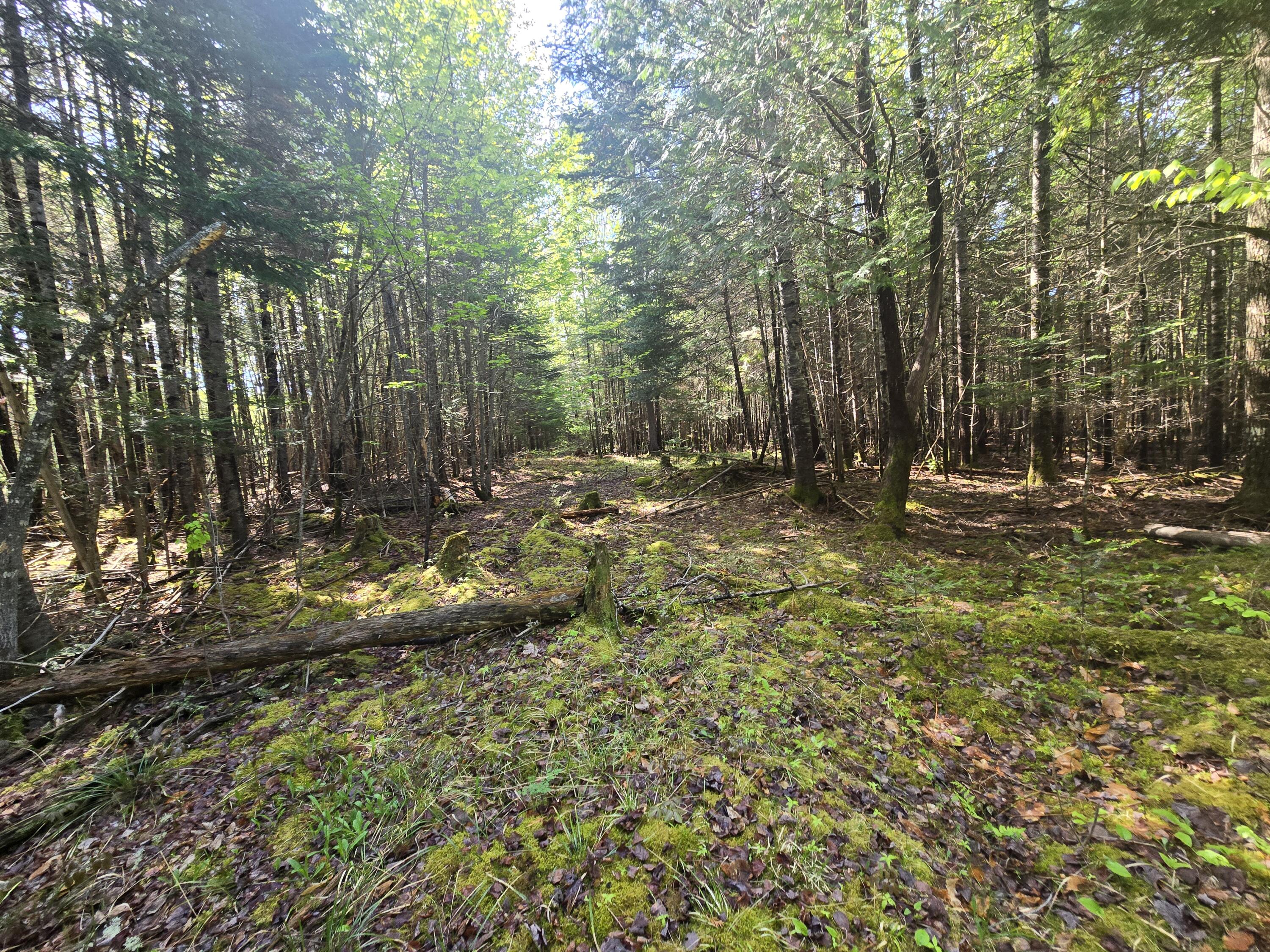 # Private Rd Off Merriman Road Island Falls ME 04747