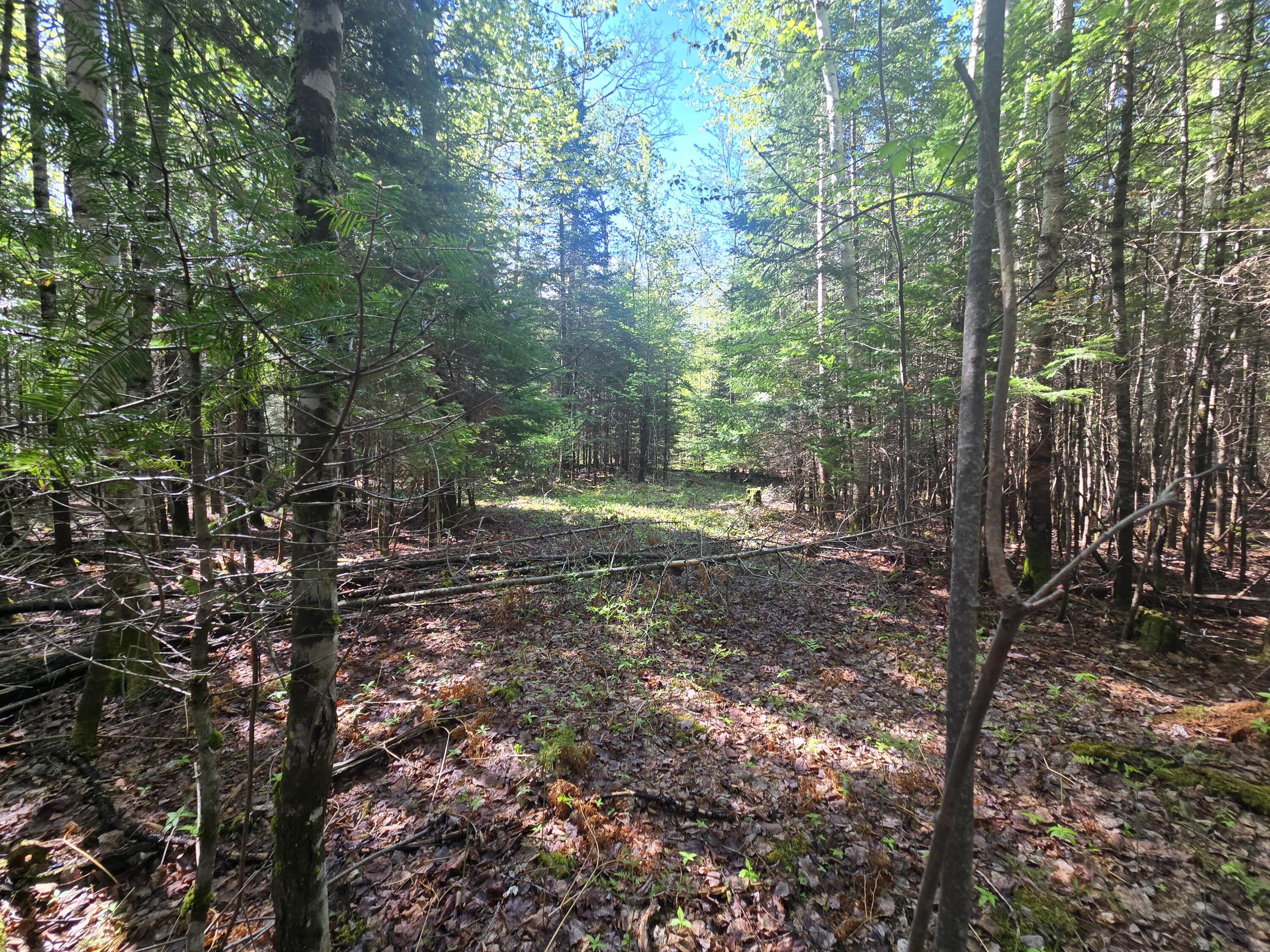 # Private Rd Off Merriman Road Island Falls ME 04747