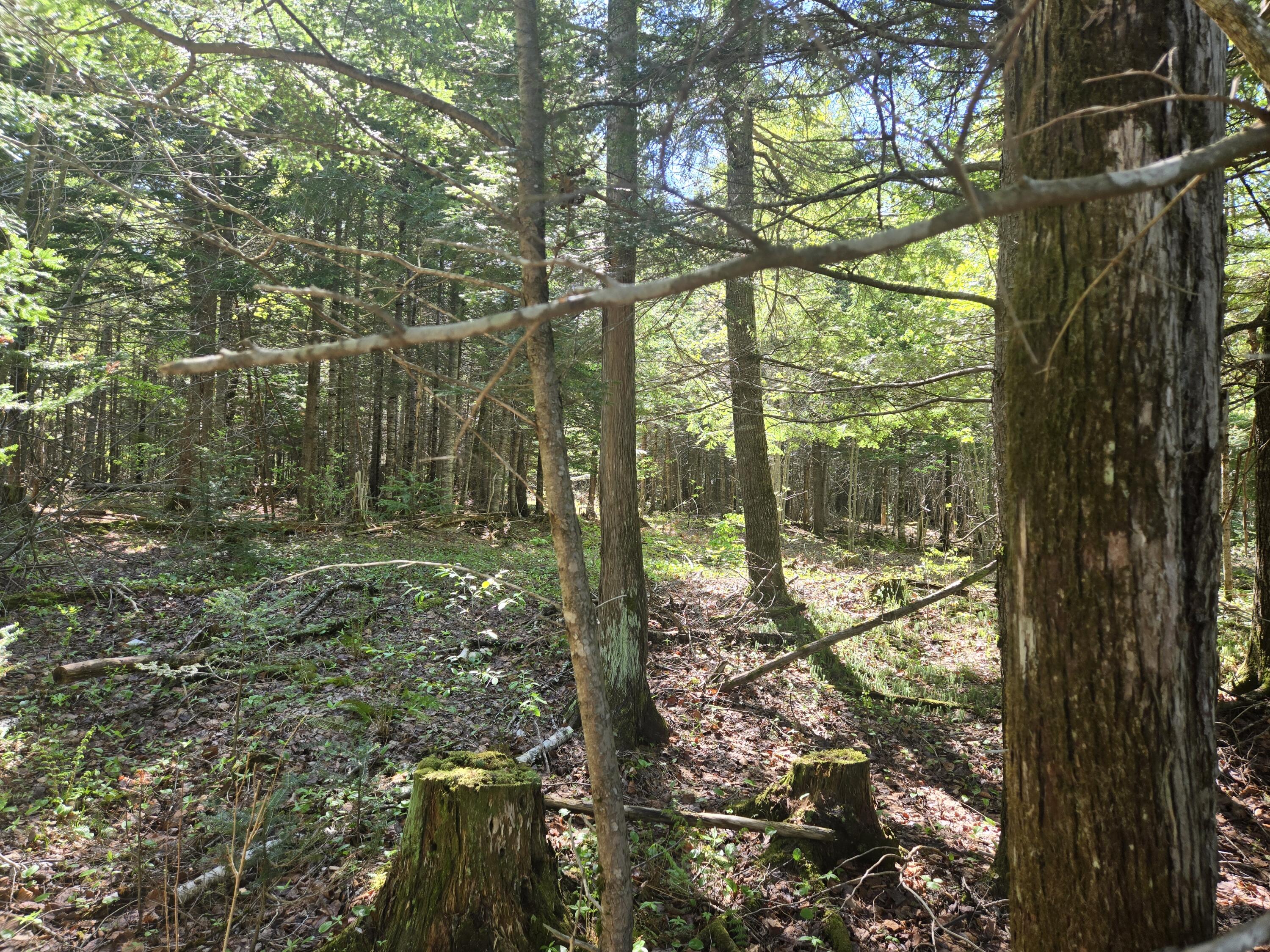 # Private Rd Off Merriman Road Island Falls ME 04747