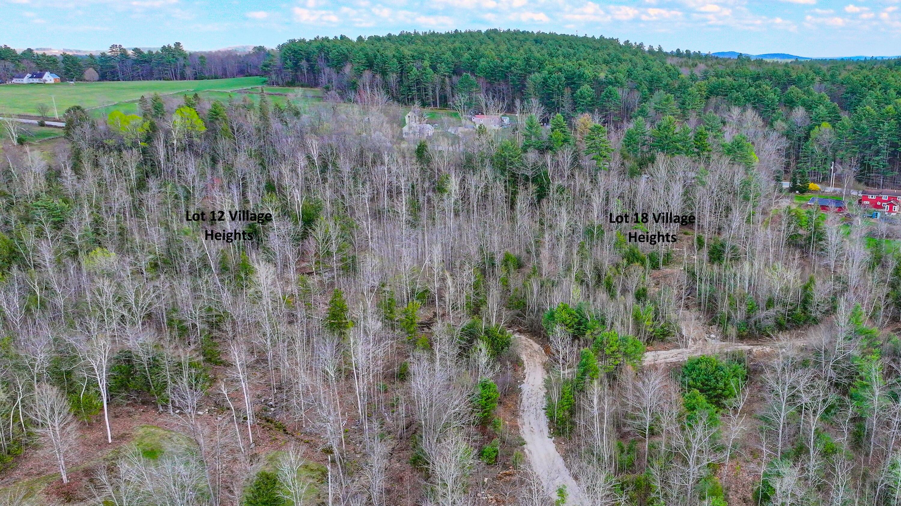 12 Village Heights Harrison ME 04040