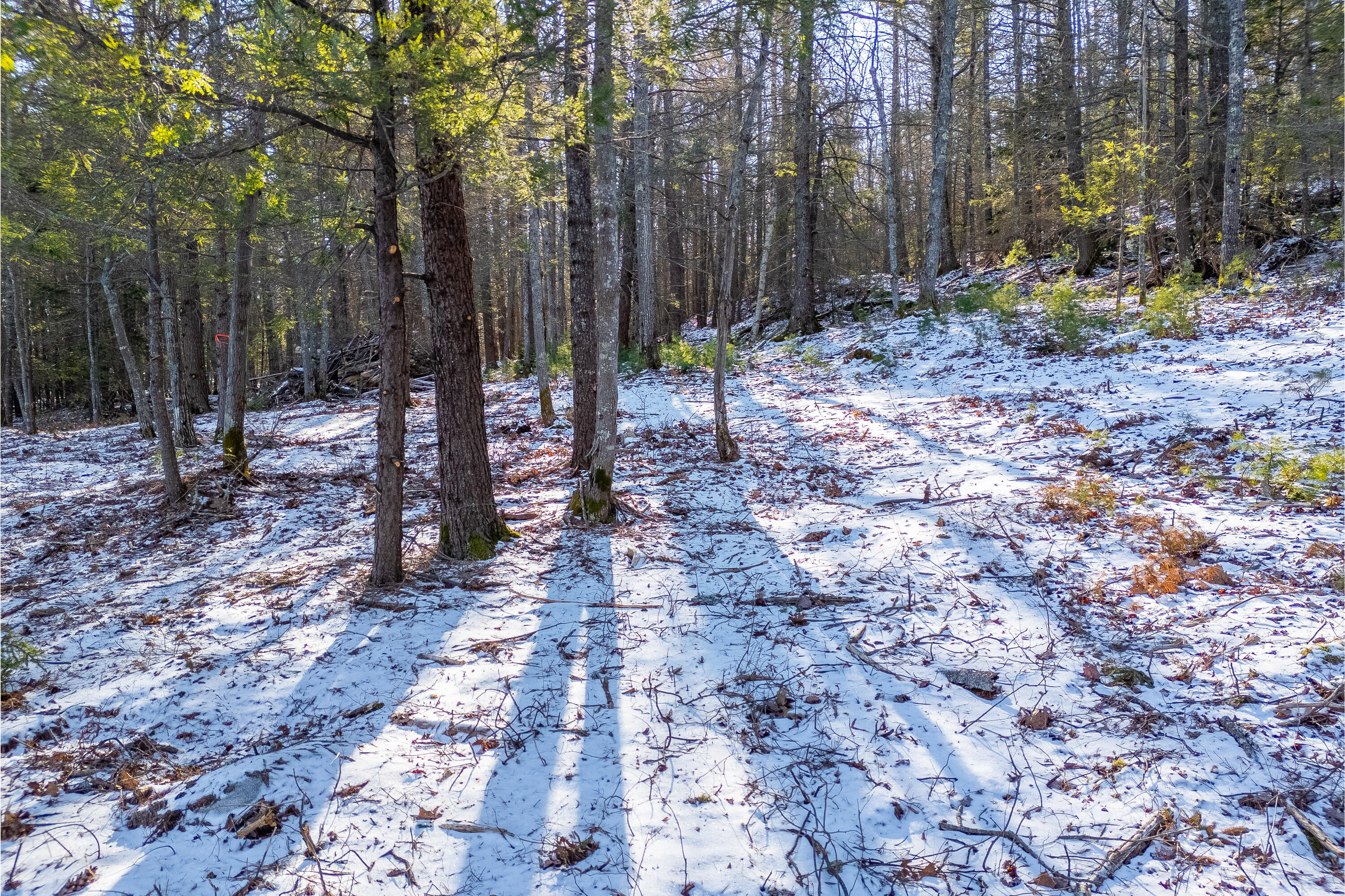 0 Webber Road Georgetown ME 04548