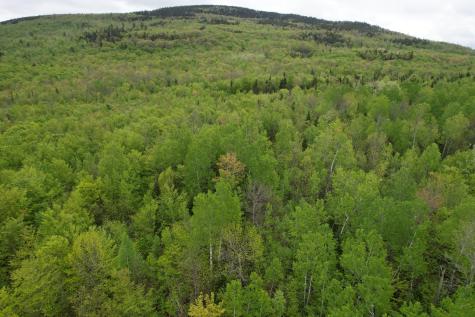 Lot 7 Hollis Drive Kingfield ME 04947