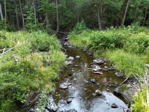 Lot 33-4 West Road Springfield ME 04487