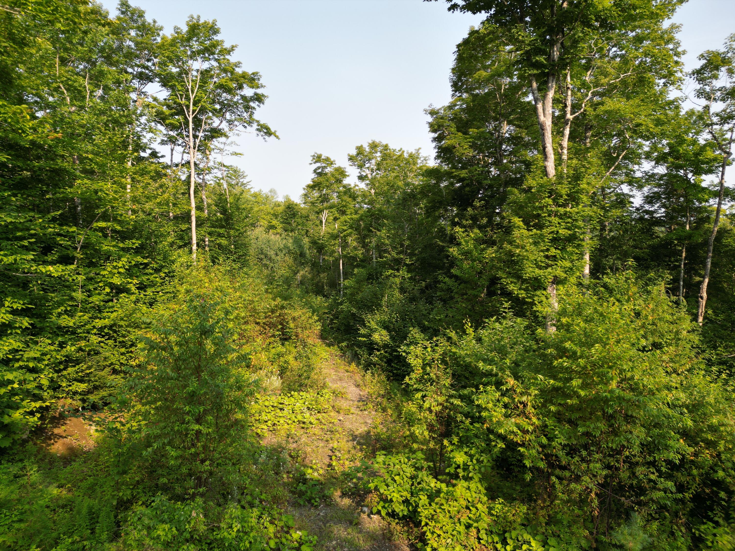 Lot 33-4 West Road Springfield ME 04487
