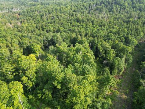Lot 33-4 West Road Springfield ME 04487