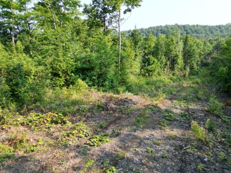 Lot 33-4 West Road Springfield ME 04487