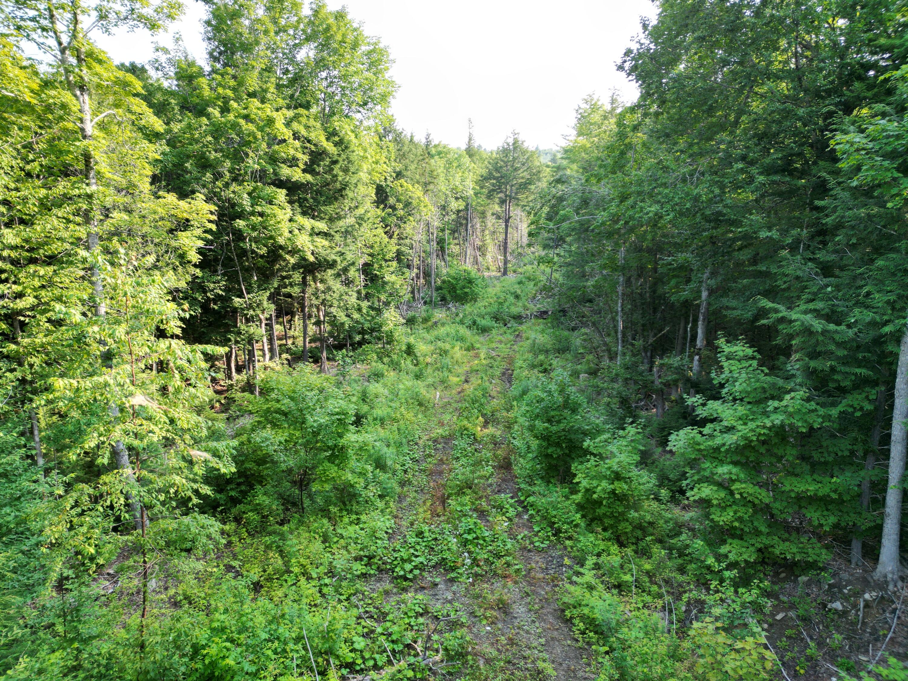 Lot 33-4 West Road Springfield ME 04487