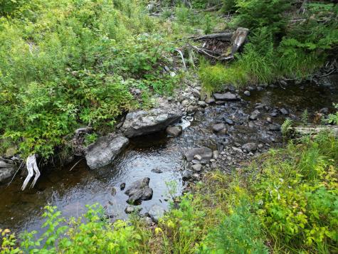 Lot 33-4 West Road Springfield ME 04487