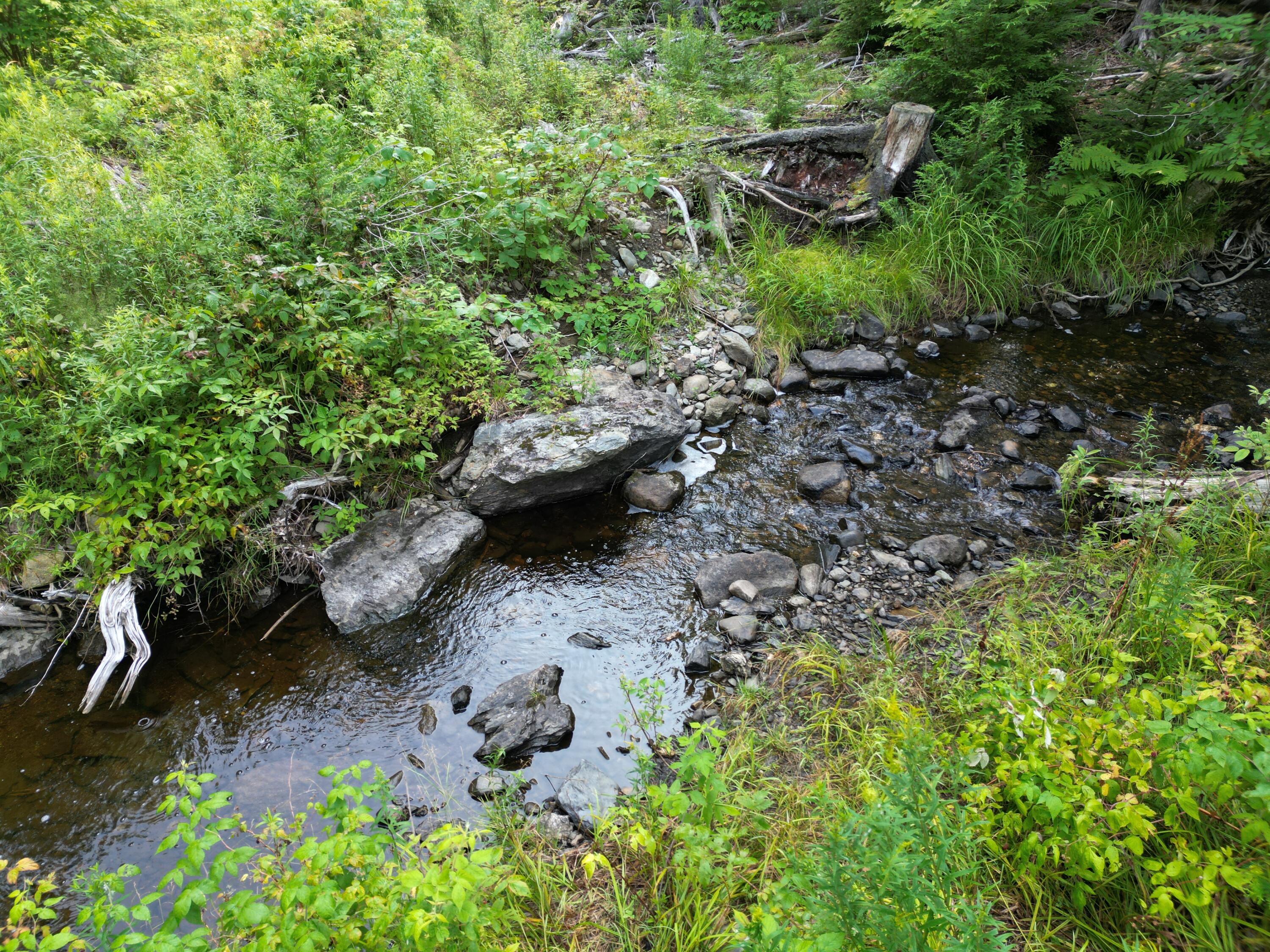 Lot 33-4 West Road Springfield ME 04487
