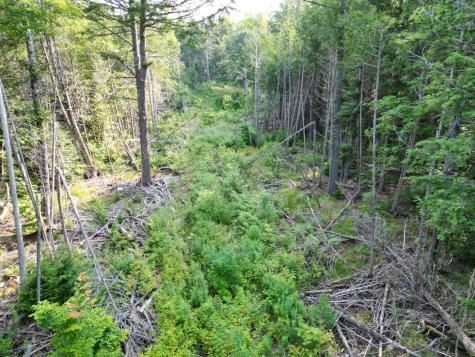 Lot 33-4 West Road Springfield ME 04487