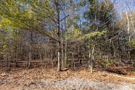 Lot 14-6 Mcgrath Pond Loop Road Belgrade ME 04917