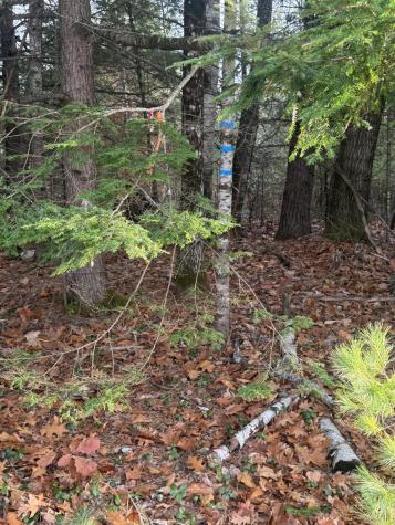 Lot 1-b 1 Sebago Road Baldwin ME 04029