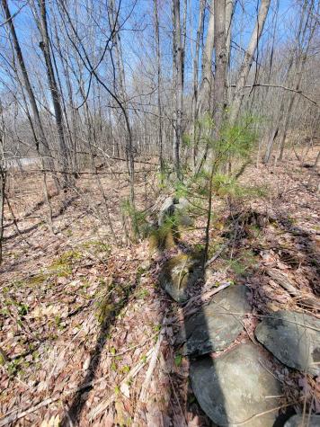 Lot 003 Main Street Jay ME 04239