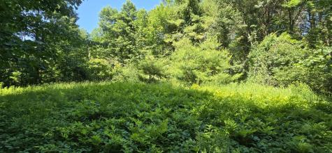 16 Wilson Road Gorham ME 04038