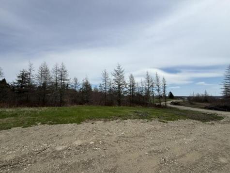 Lot 1 Holmes Bay Farms Road Whiting ME 04691
