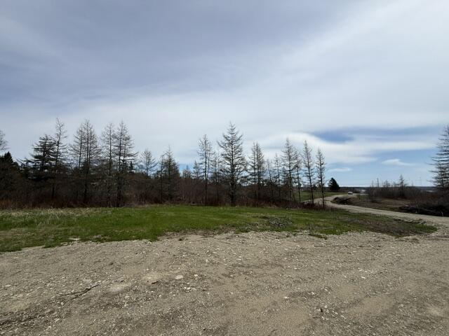 Lot 1 Holmes Bay Farms Road Whiting ME 04691