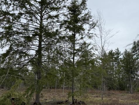 M 16 L 8 Garland Hill Road Waterboro ME 04061