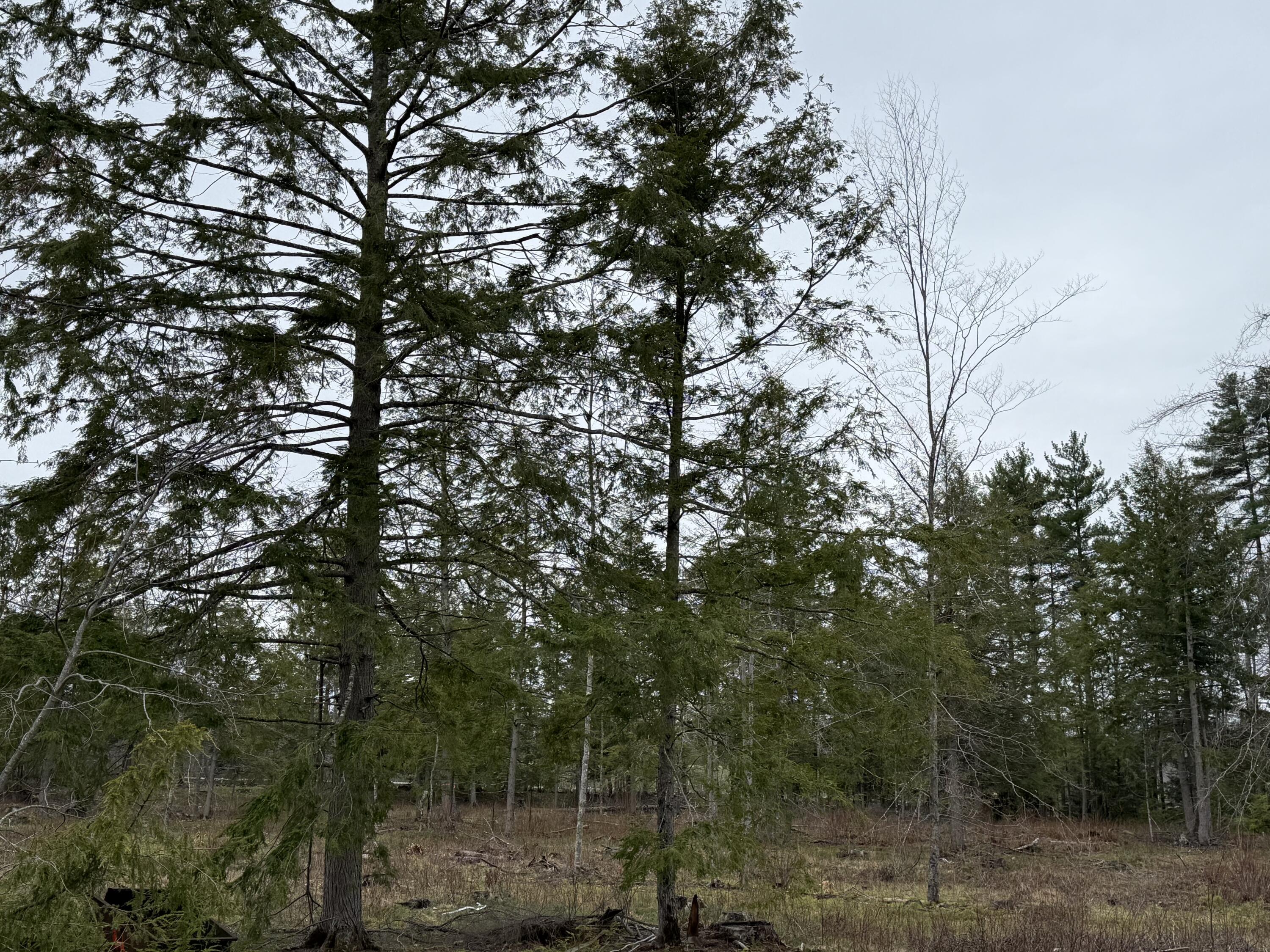 M 16 L 8 Garland Hill Road Waterboro ME 04061