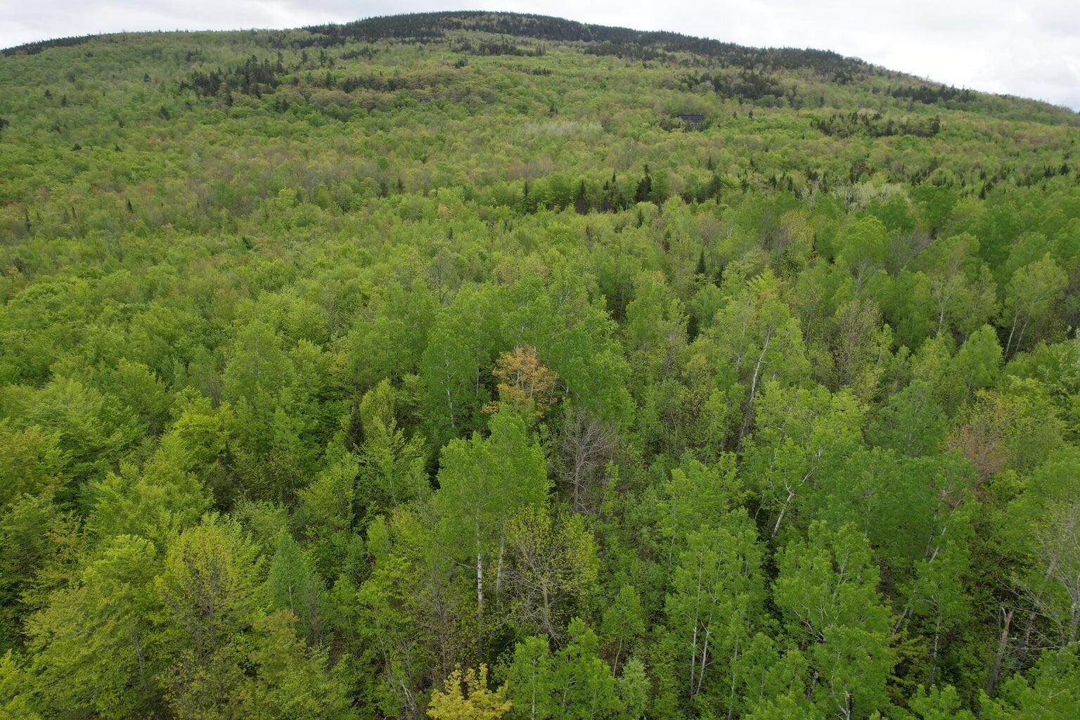 Lot 7 Hollis Drive Kingfield ME 04947