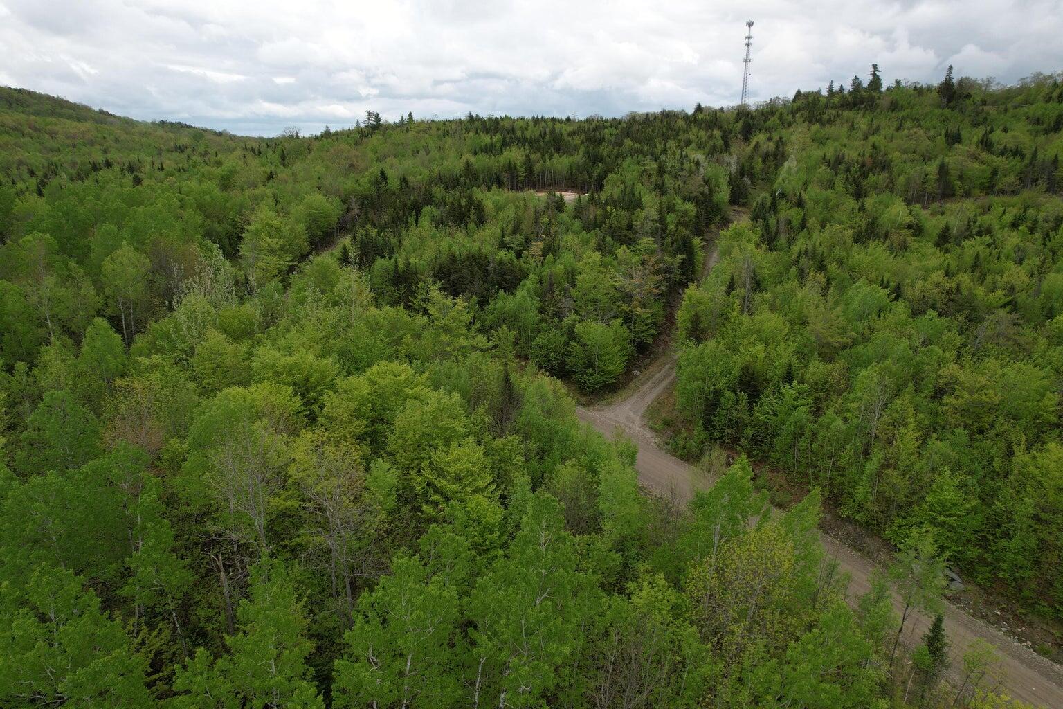 Lot 7 Hollis Drive Kingfield ME 04947