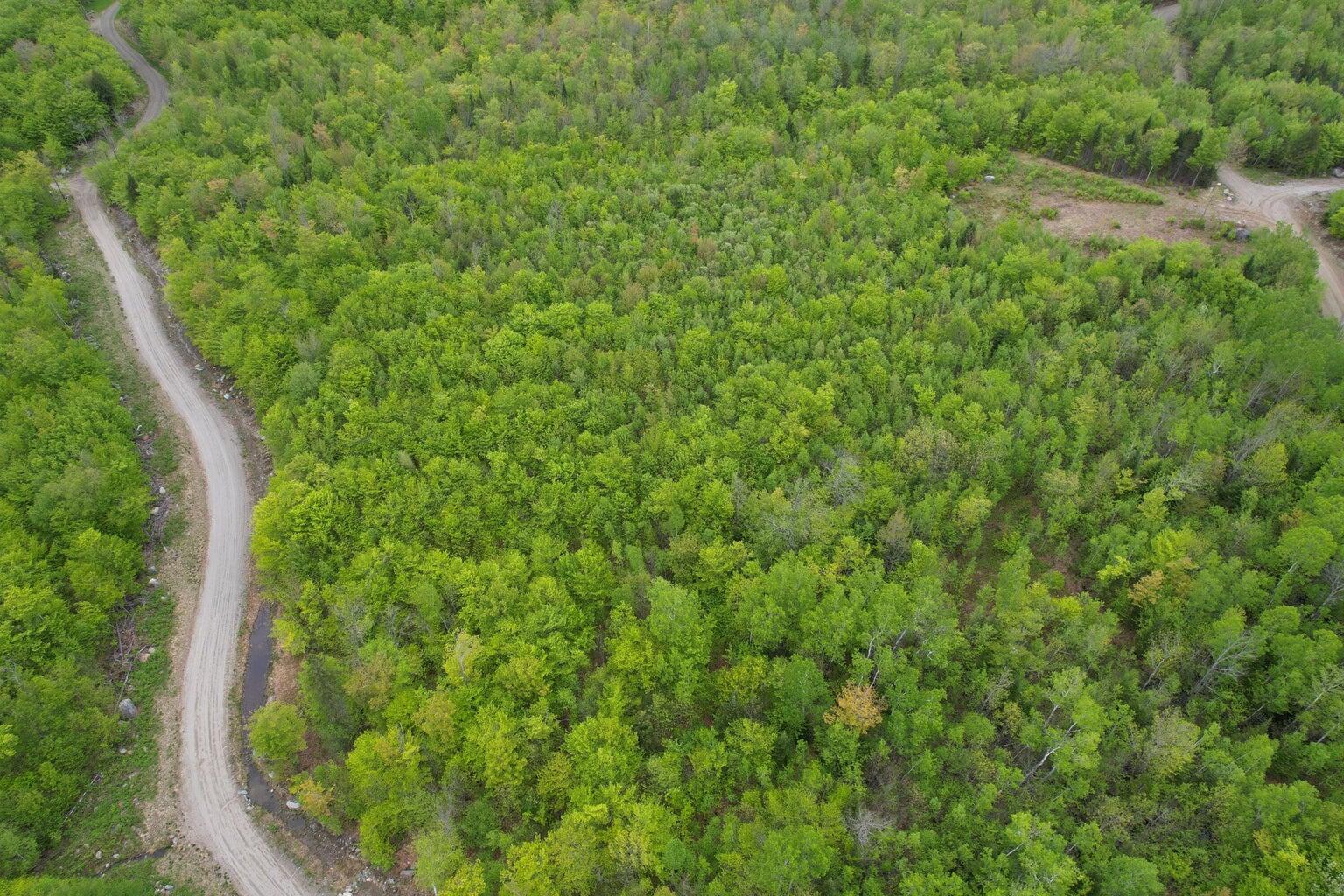 Lot 7 Hollis Drive Kingfield ME 04947