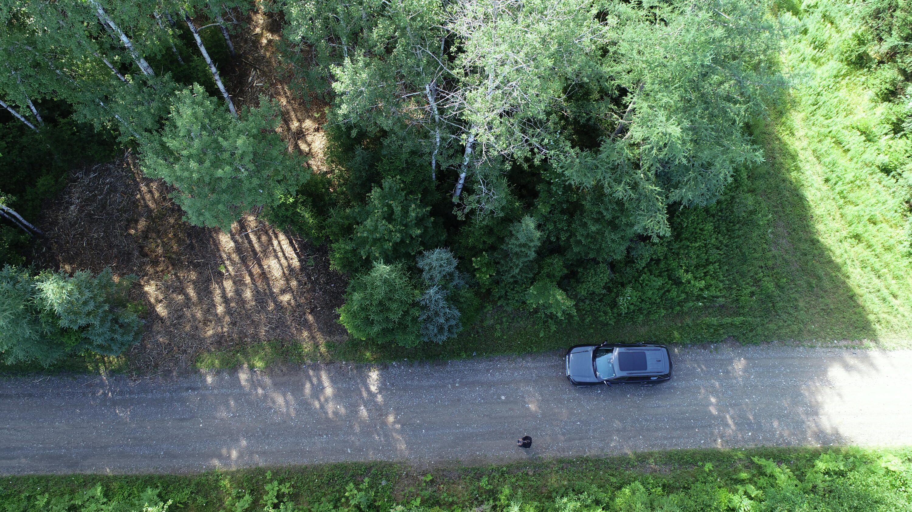 Lot 39 Smith (haney) Road Cary Plt ME 04471