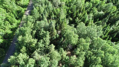 Lot 39 Smith (haney) Road Cary Plt ME 04471