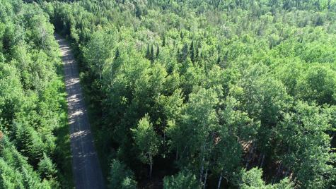 Lot 39 Smith (haney) Road Cary Plt ME 04471