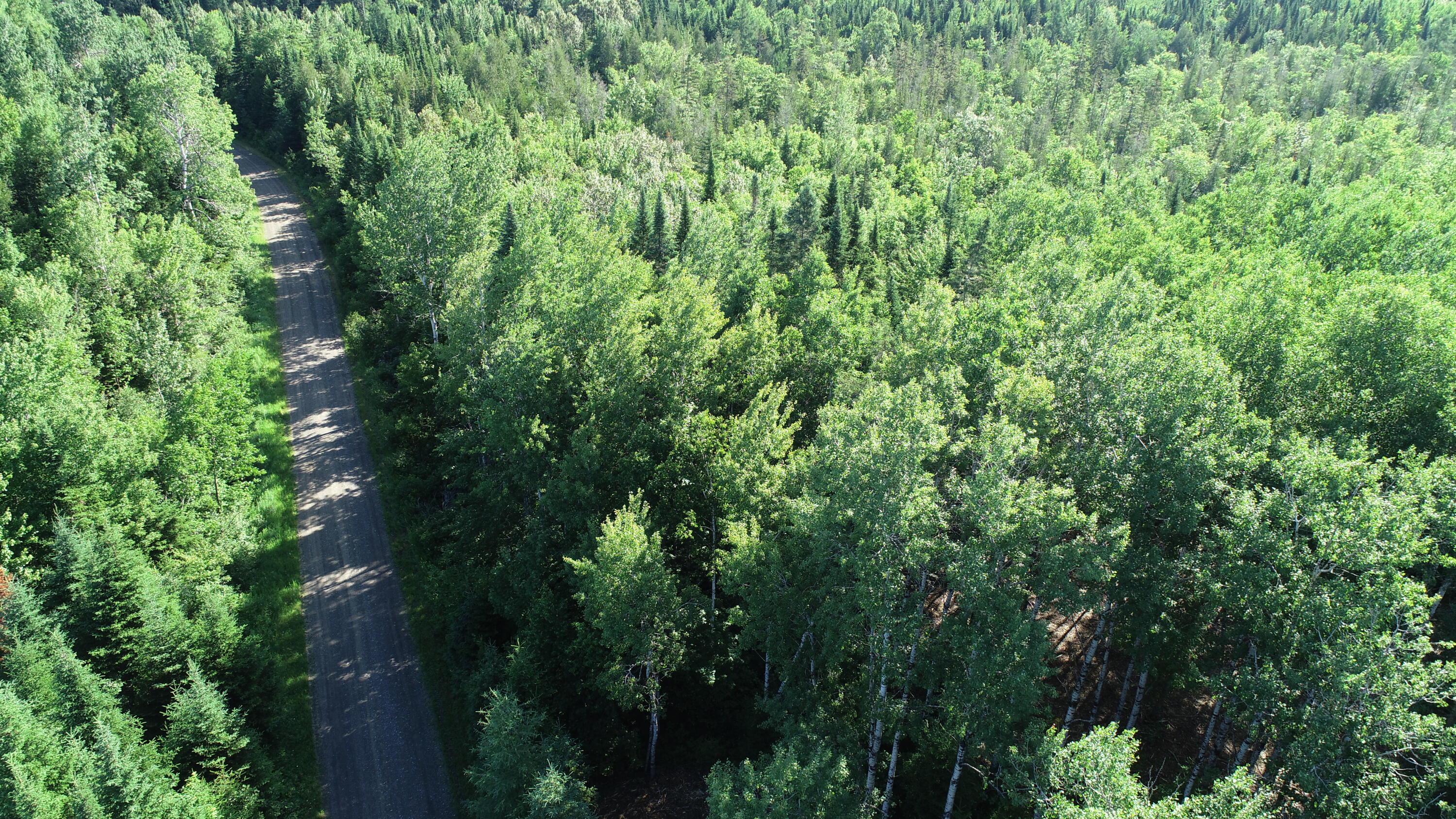Lot 39 Smith (haney) Road Cary Plt ME 04471