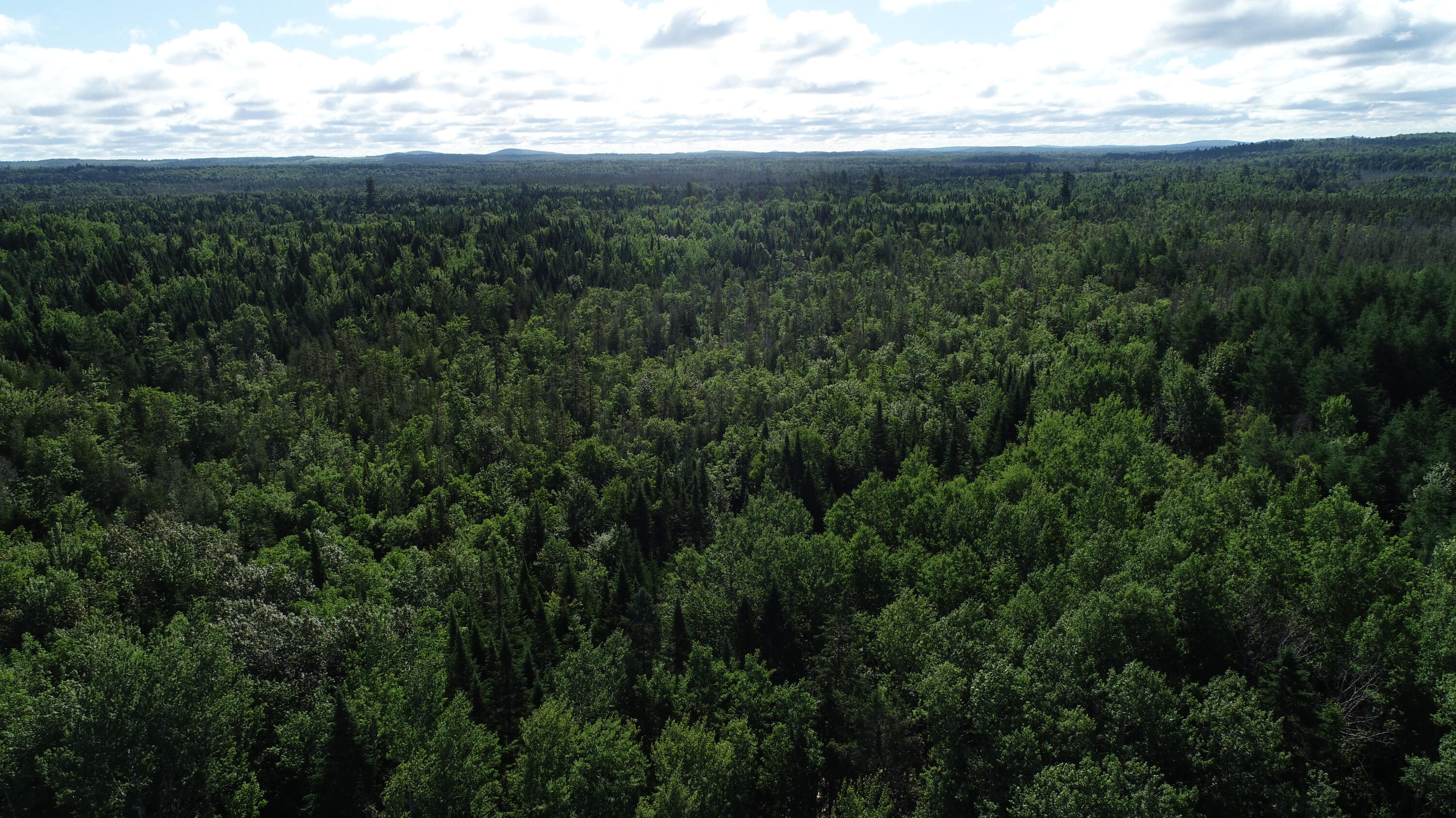 Lot 39 Smith (haney) Road Cary Plt ME 04471