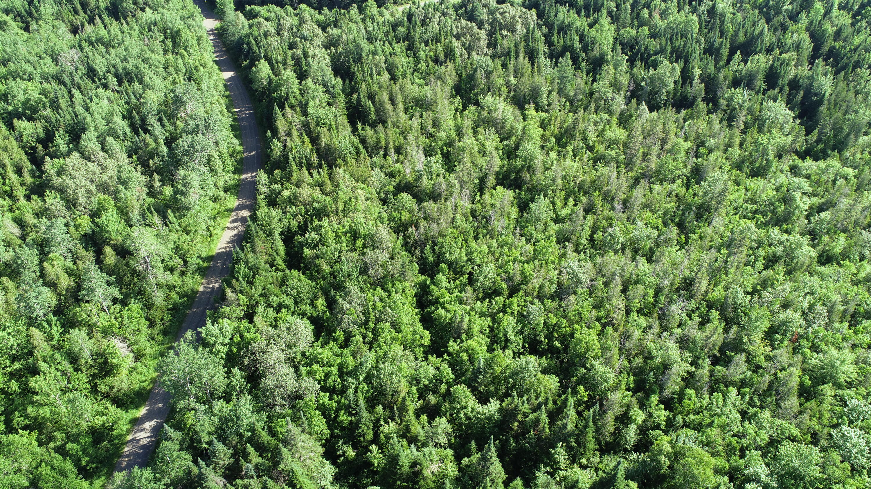 Lot 39 Smith (haney) Road Cary Plt ME 04471