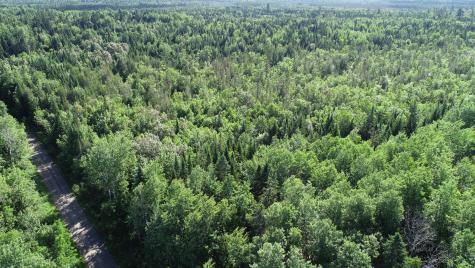 Lot 39 Smith (haney) Road Cary Plt ME 04471