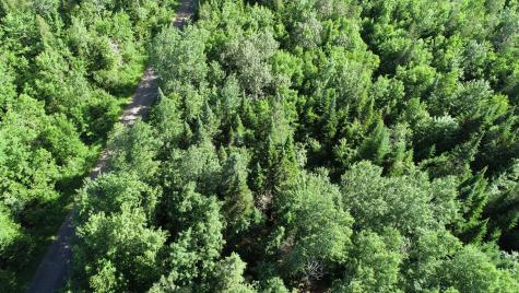Lot 39 Smith (haney) Road Cary Plt ME 04471