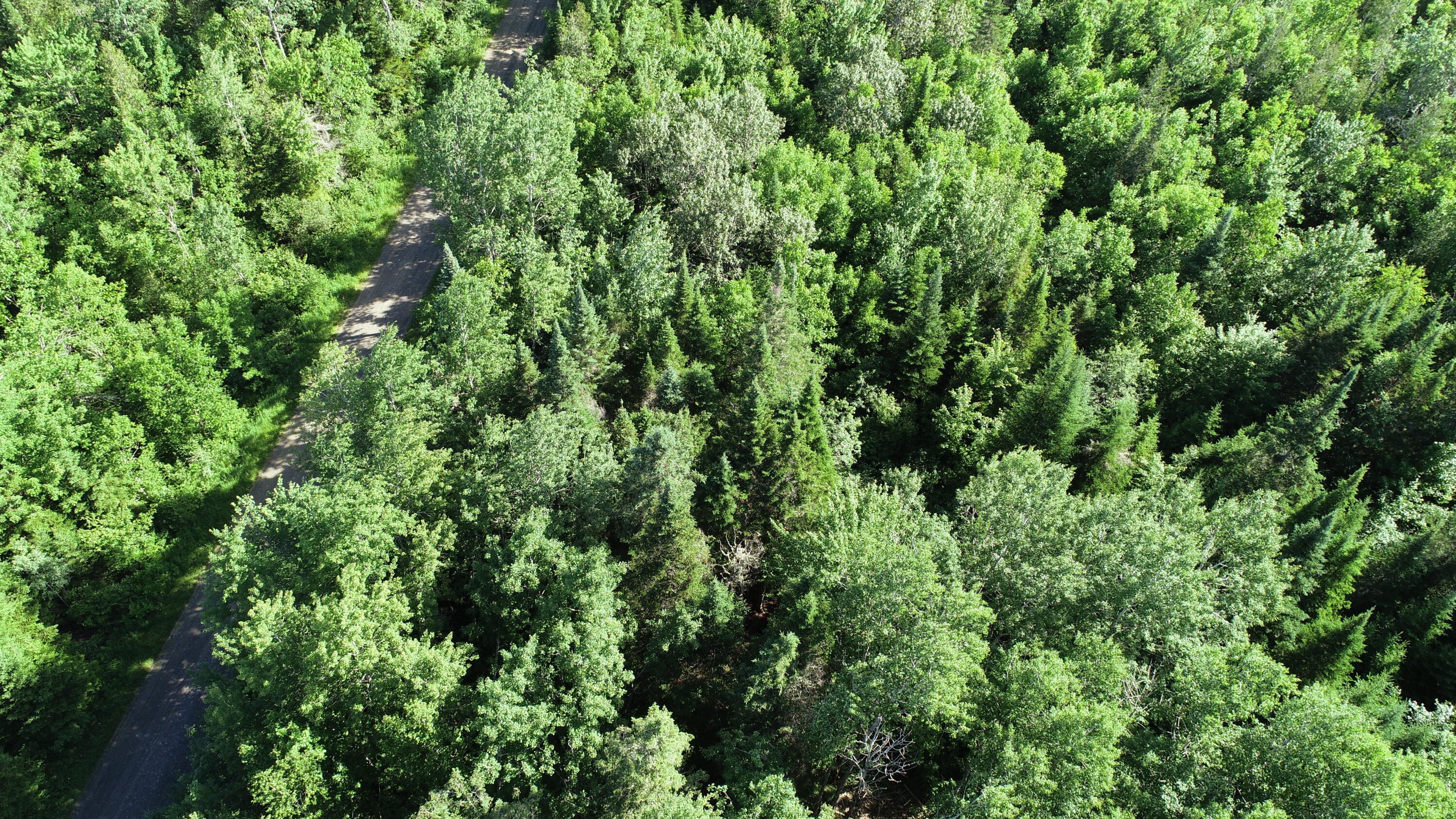 Lot 39 Smith (haney) Road Cary Plt ME 04471