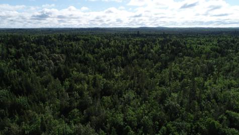 Lot 39 Smith (haney) Road Cary Plt ME 04471