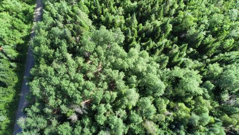 Lot 39 Smith (haney) Road Cary Plt ME 04471