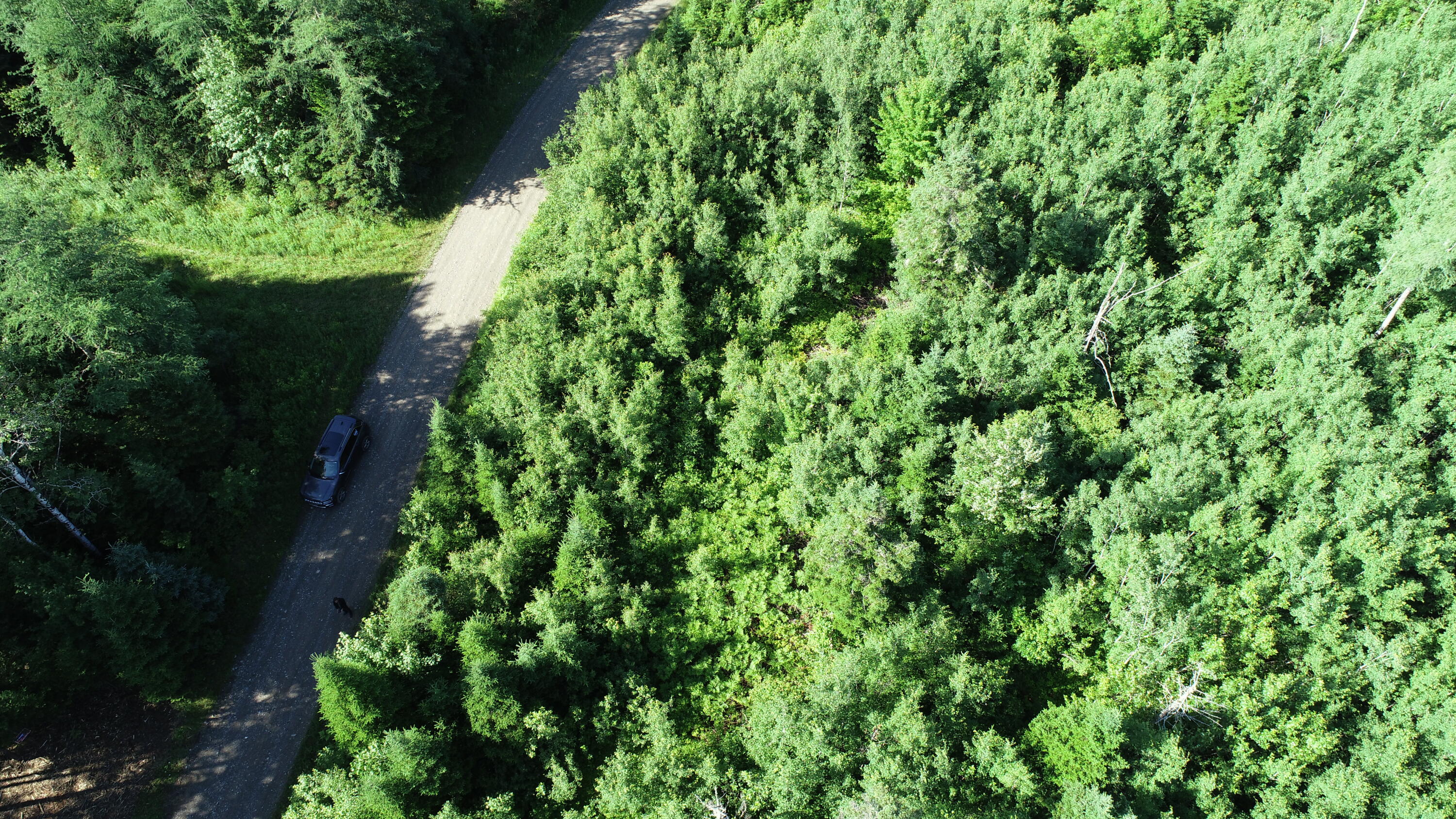 Lot 39 Smith (haney) Road Cary Plt ME 04471