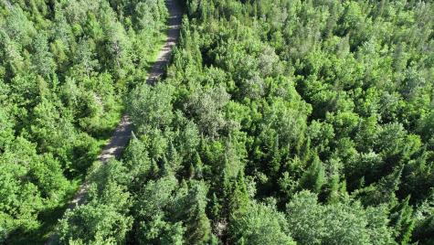 Lot 39 Smith (haney) Road Cary Plt ME 04471