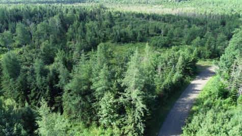 Lot 39 Smith (haney) Road Cary Plt ME 04471