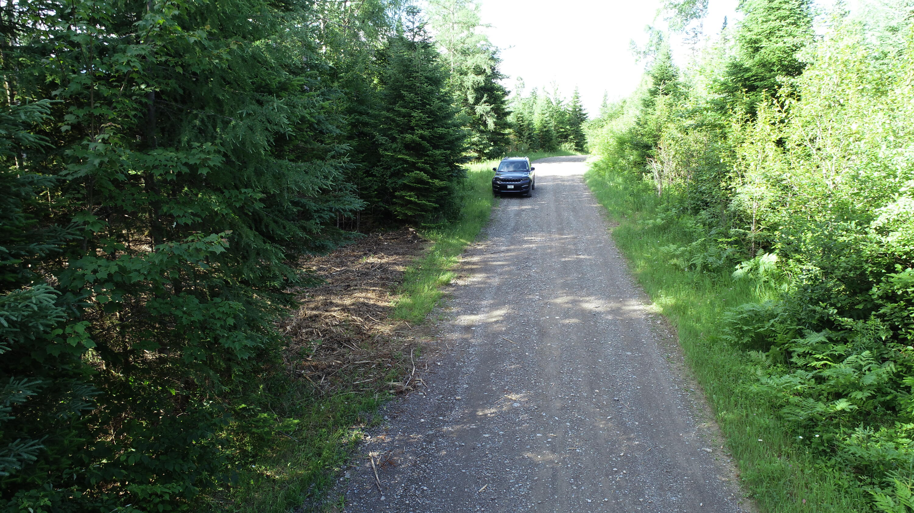 Lot 39 Smith (haney) Road Cary Plt ME 04471