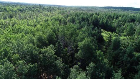 Lot 39 Smith (haney) Road Cary Plt ME 04471