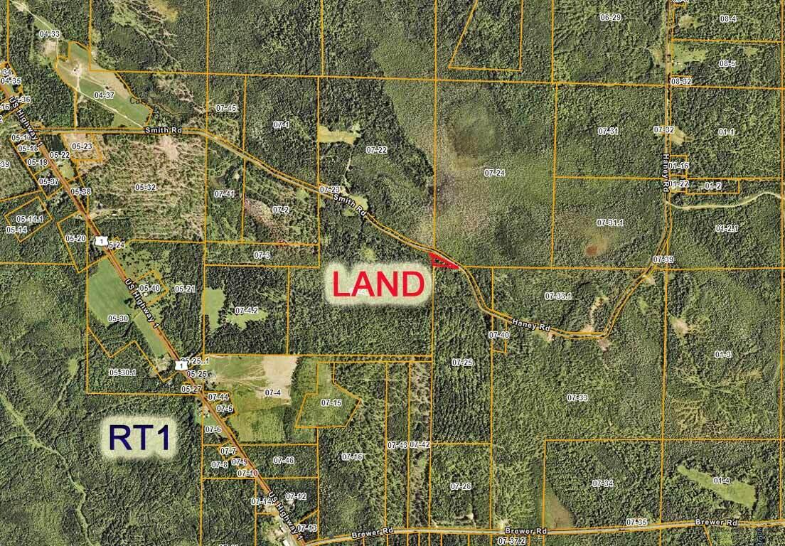 Lot 39 Smith (haney) Road Cary Plt ME 04471