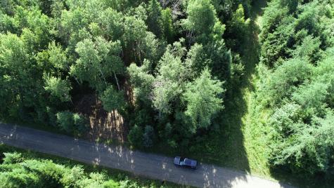 Lot 39 Smith (haney) Road Cary Plt ME 04471